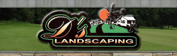 landscaping Crystal River, landscaping Inverness, landscaping Ocala, landscapers Crystal River, landscapers Inverness, landscapers Ocala, landscapers Dunnellon, tree removal Crystal River, tree removal Inverness, tree removal Ocala